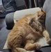 Nancy Trimble - Facebook