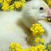 Nancy Trimmer - Facebook