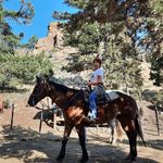 Nancy Bowers Troupe - @nancytroupe - Instagram