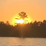 Nancy T. Stroup - @nancyt.stroup - Instagram