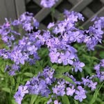 Nancy Trudeau Plamondon - @nancyjp1710 - Instagram