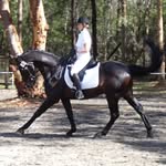 Nancy Truscott Roxburgh - @truscottroxburgh - Instagram