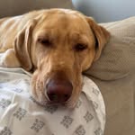 Nancy Pa Tucker - @nancy_tucker2525 - Instagram