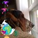 Nancy Tuck - Facebook