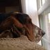 Nancy Tuck - Facebook
