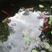 Nancy Tunstall - Facebook