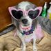 Nancy Tunstall - Facebook