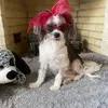Nancy Tunstall - @thatlldo4now - TikTok
