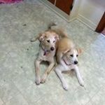 Nancy Turley - @turleynancy - Instagram
