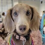 Nancy C. Turnbow - @nanrt2004 - Instagram
