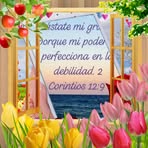 Nancy Tush - Facebook