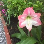 Nancy Tyner - Facebook