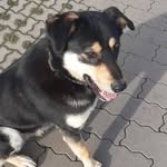 Nancy Schubert - @nancy.schubert.3388 - Instagram