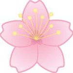 Nancy Ueda - @ueda15 - Instagram
