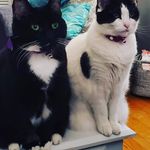 Nancy Jeanne Ulmer - @ulmern - Instagram