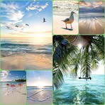 Nancy Ulshafer - Facebook
