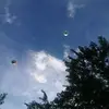 Nancy Humphrey - @nancy.humphrey - TikTok