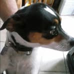 Nancy Updegraff - Facebook