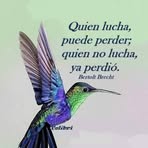 Nancy Urrea - Facebook