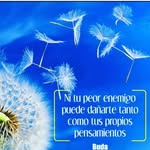 Nancy Urrea - @urreaclavijonancy - Instagram