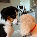 Nancy Uphold - Facebook