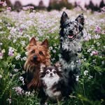 Nancy Van Buren - @vanburennancy - Instagram