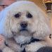 Nancy VanBuren - Facebook