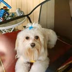 Nancy Vanderbilt - Facebook