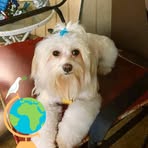 Nancy Vanderbilt - Facebook