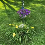Nancy Vandergriff McHale - @nancymchale44 - Instagram