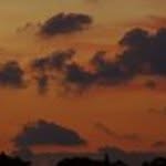 Nancy Vanderhoof - @2hoofs - Instagram