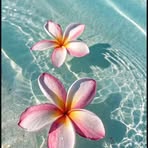Nancy Velarde - Facebook