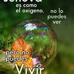 Nancy Verino - @nancyverino - Instagram