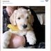 Nancy Vernon - Facebook