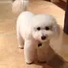 nancyvernon3 - @nancy.vernon73 - TikTok