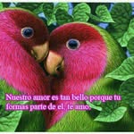 Nancy Veronica - @pomavilla6 - Instagram