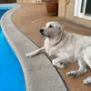 Nancy Verrette - @nancy.verrette7 - TikTok