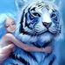 Nancy Vickers - Facebook