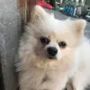 Nancy Vickers - @nancy.vickers7 - TikTok