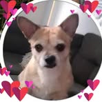 Nancy Viens - Facebook