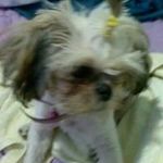 Nancy Viera - @viera4998 - Instagram
