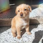 Nancy Viera - @nancy.viera - Instagram