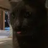 Nancy Viera - @nancy.viera6 - TikTok