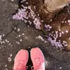 nancyvlog - @nancyviola - TikTok