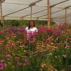 Nancy Vivas - Facebook