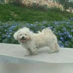 Nancy Vivas - @nancyvivas60 - Instagram