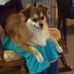 Nancy Volker - Facebook