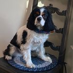 Nancy Volkert - @nancyvolkert - Instagram