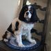 Nancy Volkert - Facebook