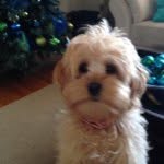 Nancy Waines - @nancywaines - Instagram